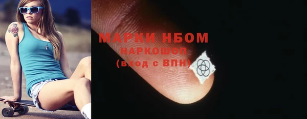 индика Новосибирск