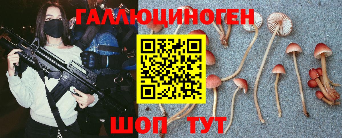 Галлюциногенные грибы мицелий Златоуст