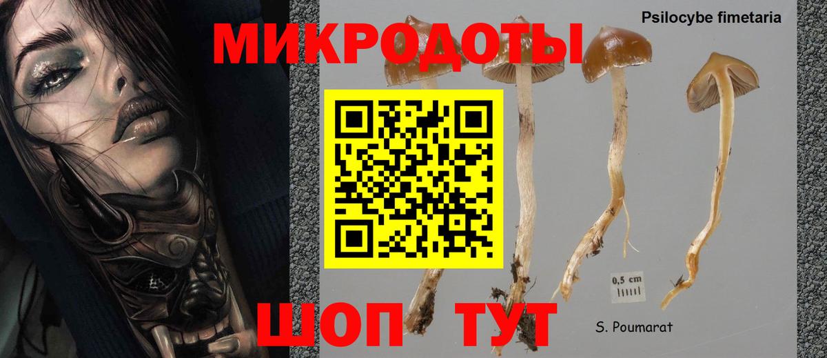 Псилоцибиновые грибы Magic Shrooms  Златоуст 