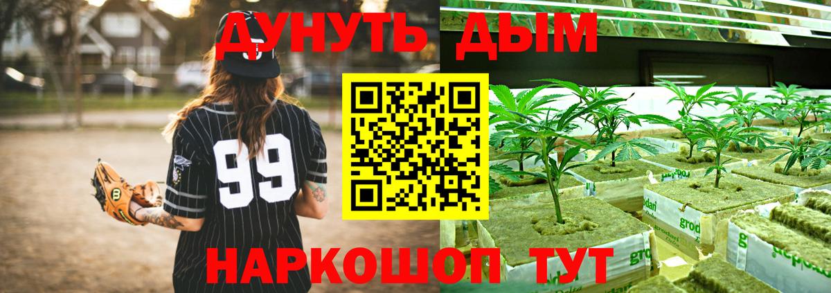 Канабис сатива Златоуст